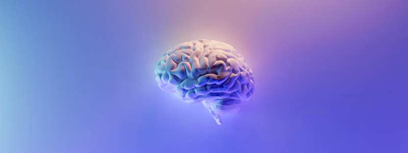 Développement de logiciels